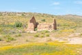 Ruins in between yellow flowers Royalty Free Stock Photo