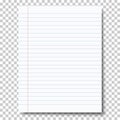 Ruled sheet of notebook paper placed on transparent background. Vector paper template