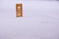 Ruler in Snow Ten Inches