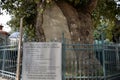 Rules of conduct for pilgrims on the tree fence at the Sultan Eyup mosque Ã¢â¬â the main Muslim Shrine in Turkey. Istanbul