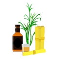 Rum bottle, sugar cane, glass, shot. Flat style. Organic drink.