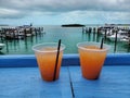 Rum drinks on blue deck overlooking marina in Bimini, Bahamas. Royalty Free Stock Photo
