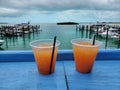 Rum drinks on blue deck overlooking marina in Bimini, Bahamas.