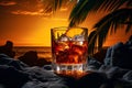 Rum Spirits drink Royalty Free Stock Photo