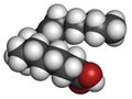 Rumenic acid bovinic acid, conjugated linoleic acid, CLA fatty acid molecule. Royalty Free Stock Photo