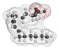 Rumenic acid bovinic acid, conjugated linoleic acid, CLA fatty acid molecule. Royalty Free Stock Photo