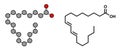 Rumenic acid (bovinic acid, conjugated linoleic acid, CLA) fatty acid molecule Royalty Free Stock Photo