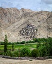 Rumtse monastery on the hill in Leh, India Royalty Free Stock Photo