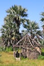 Run-Down African Hut with Palm Trees in Northern Botswana