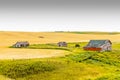 Run down farm houses in a field. Trochu County,Alberta,Canada Royalty Free Stock Photo