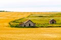 Run down farm houses in a field. Trochu County,Alberta,Canada Royalty Free Stock Photo