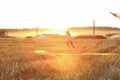 Run on meadow with a kite in the summer on the nature Royalty Free Stock Photo