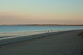 A runner and walkers with their dog on the beach one morning Royalty Free Stock Photo