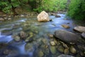 Run of mountain stream in forest Royalty Free Stock Photo