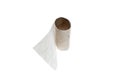 Run out of stock - the last sheet of toilet paper Royalty Free Stock Photo