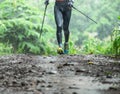 Run rain,Cross country runner,Trail running in the forest,uphill in autumn trail of mud and stones,In the north of Thailand,blur,S Royalty Free Stock Photo