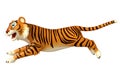 Run Tiger cartoon character