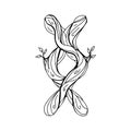 Runa Inguz, Ingwaz, Ing, Yngvi. Wooden doodle style. A magical amulet of a good start and rebirth. Elder Futhark. The Royalty Free Stock Photo