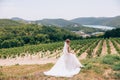 A runaway bride walks in a deserted field, admires vineyards and mountains, and feels free. A young girl retired in