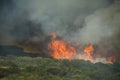 Runaway coastal bush fire