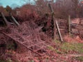 Rundown fence with overgrown weeds on a cattle farm