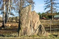 Rune stone. Old aged weathered granite gravestone in sunny rays. Ancient Big rock with runes Royalty Free Stock Photo