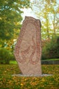 Rune stone in Sweden Royalty Free Stock Photo