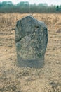 Runestone Royalty Free Stock Photo