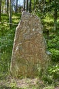 Runestone from 11th century outside Stockholm