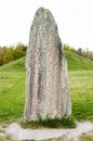 Runic stone Royalty Free Stock Photo