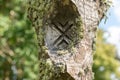 runic symbols carved into a moss-covered pole. A pagan place of worship.