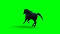 Runing black horse. Green screen isolate. 3d rendering.