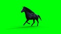 Runing black horse. Green screen isolate. 3d rendering. Royalty Free Stock Photo