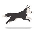 Runing husky icon cartoon vector. Siberian dog