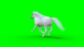 Runing white horse. Green screen. 3d rendering.