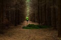 Runner athlete running forest trail, green nature all around