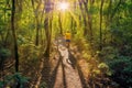 Runner athlete running on forest trail. generative AI