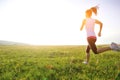 Runner athlete running on grass Royalty Free Stock Photo