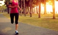 Runner athlete running at tropical park Royalty Free Stock Photo