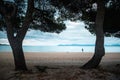 Alone runner on the morning summer beach