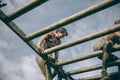 Runner climbing structure in a test of extreme obstacle race