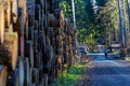 Runner doing sports in the forest for his health with stacked tree trunks on his side