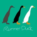 runner duck vector illustration style Flat side Royalty Free Stock Photo