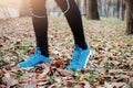 Runner feet close up on the road with autumn leaves Royalty Free Stock Photo