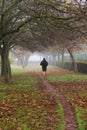 Runner Jogging in an Autumnal Park with Fog Royalty Free Stock Photo