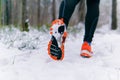 Runner legs while jogging in winter closeup Royalty Free Stock Photo