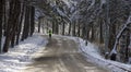 Runner training in the winter forest at sunday morning