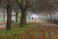 Runners Joggers in an Autumnal Park with Fog Royalty Free Stock Photo