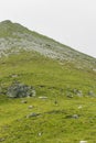 Runners at a mountain race