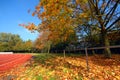 Runners racetrack going left Royalty Free Stock Photo